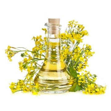 http://ecomiltrade.by/wp-content/uploads/2021/02/rapeseed-oil-360x360.jpg